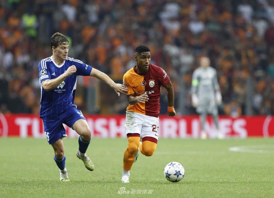 樊振东的情 樊振东的情